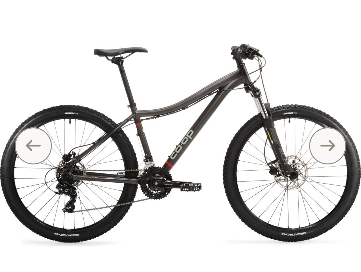 2021 REI Co-op DRT 1.1 Black and Silver, gray or bare metal