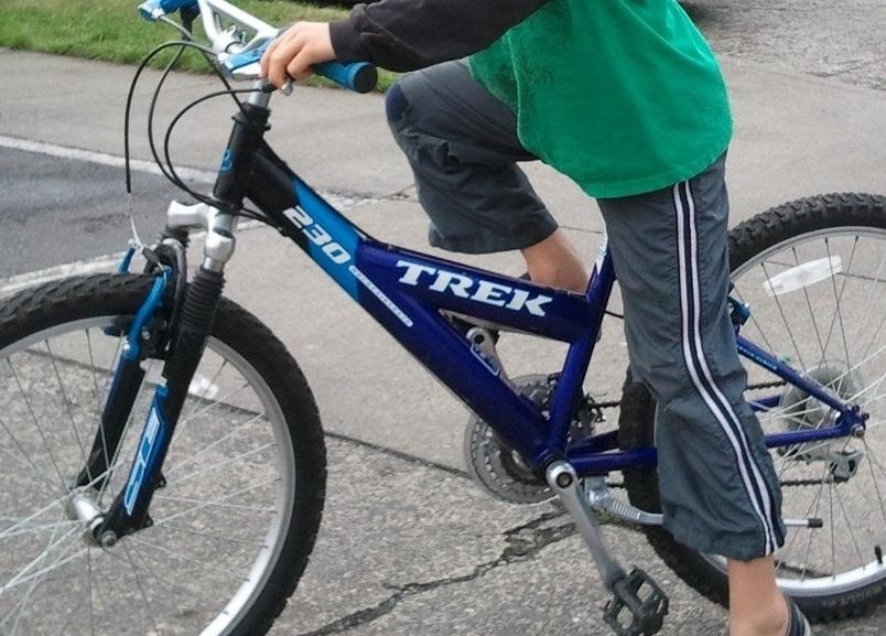 Trek 230  Blue