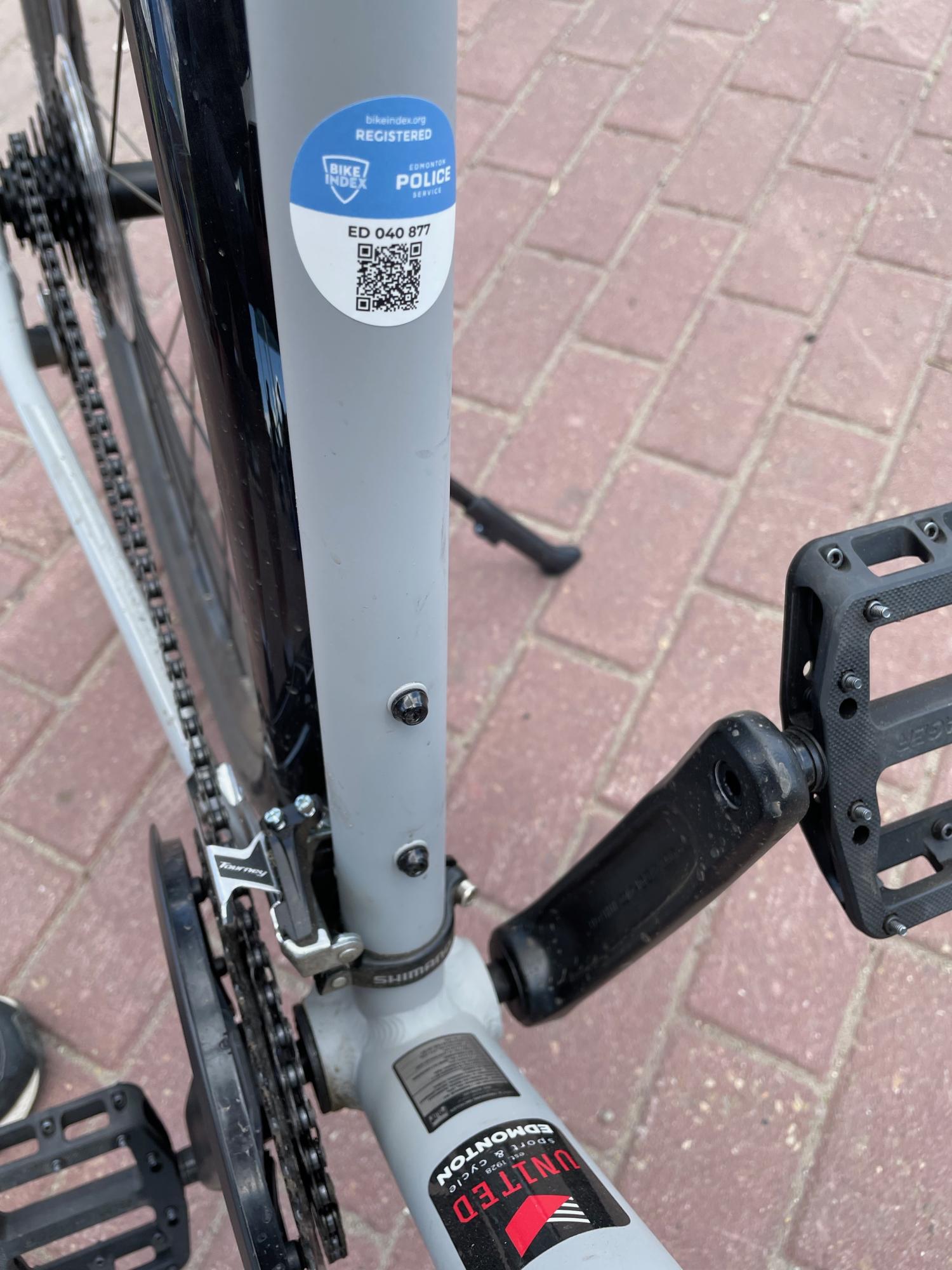 2021 Trek Roam Silver, gray or bare metal