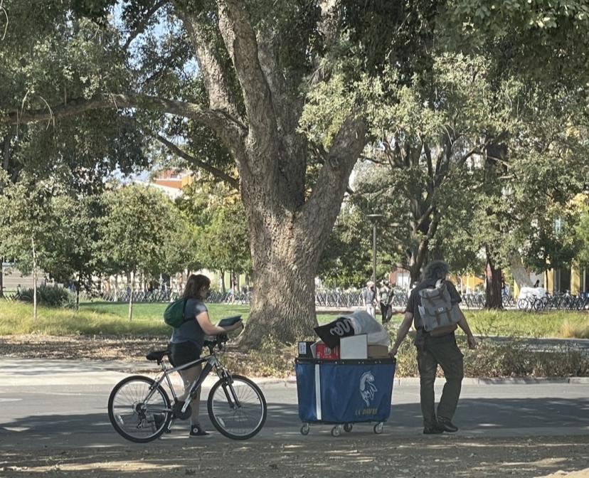 2015 Schwinn S5190TR Silver, gray or bare metal