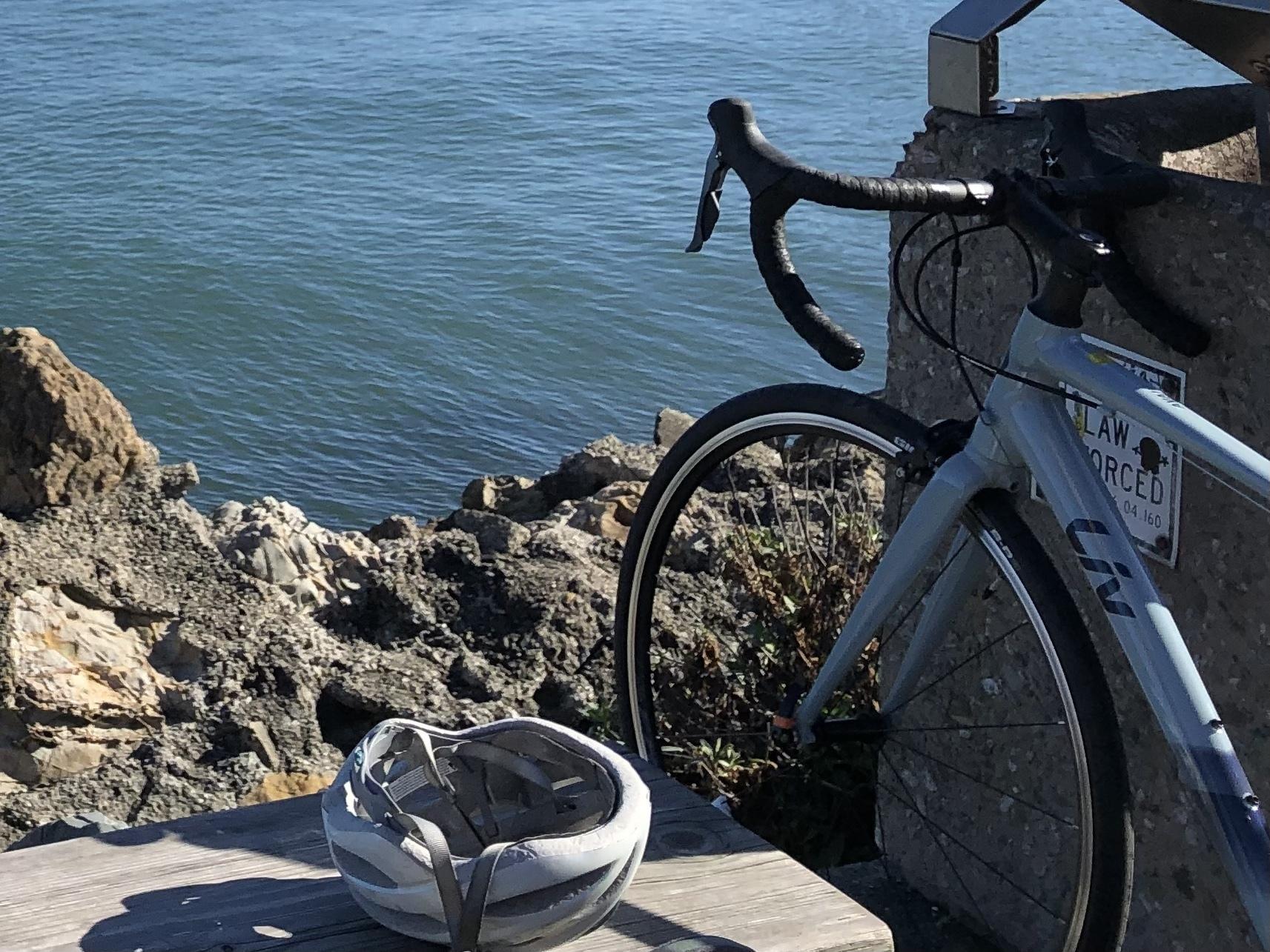 2021 Giant Avail 3 Silver, gray or bare metal