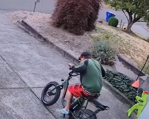 Rad Power Bikes Wagon Green