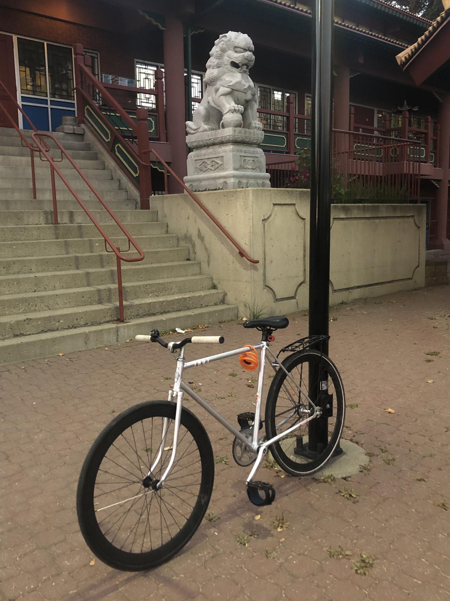 Pinarello Silver, gray or bare metal