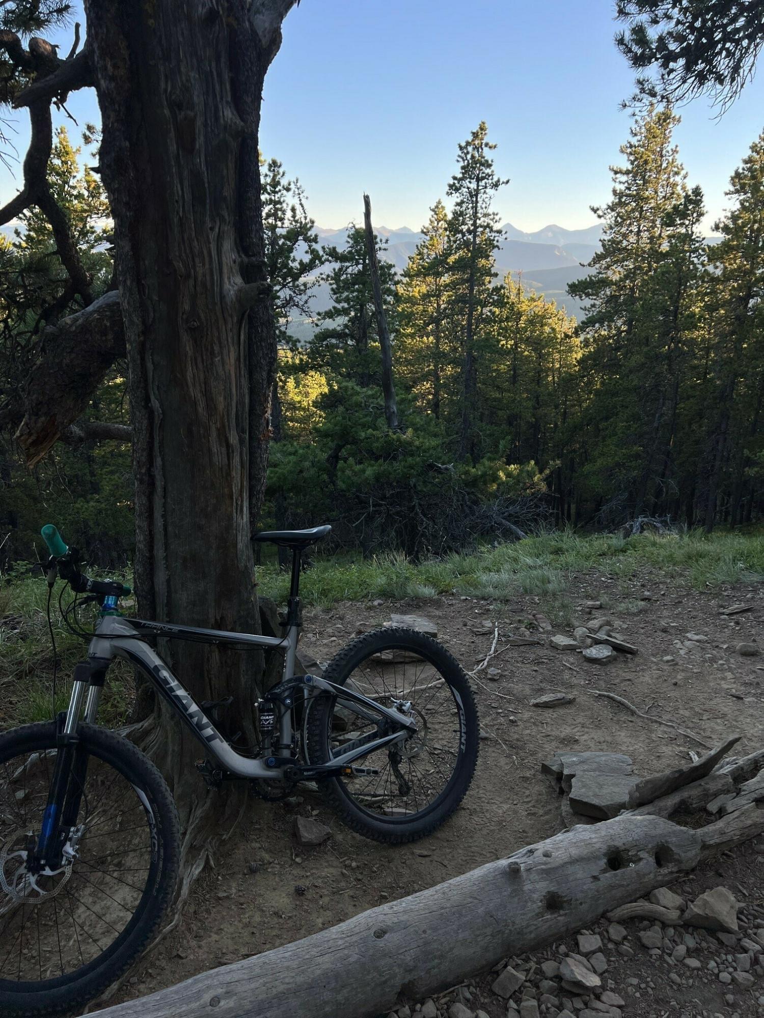 2012 Giant Trance X4 Silver, gray or bare metal