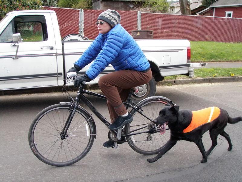 2008 Gary Fisher Wingra  Black