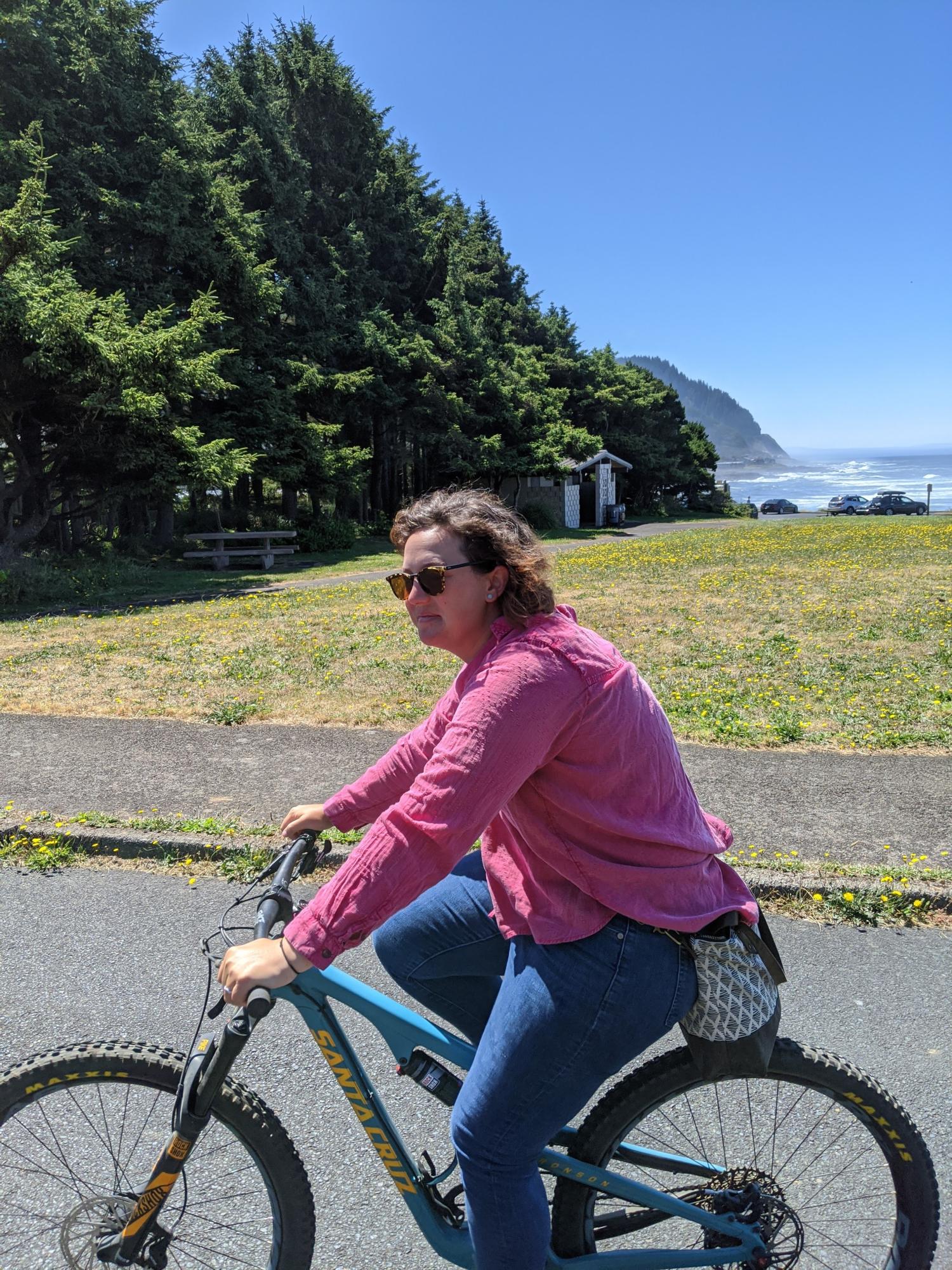 2017 Santa Cruz Bronson Blue