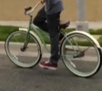 Schwinn Beach cruiser  Black
