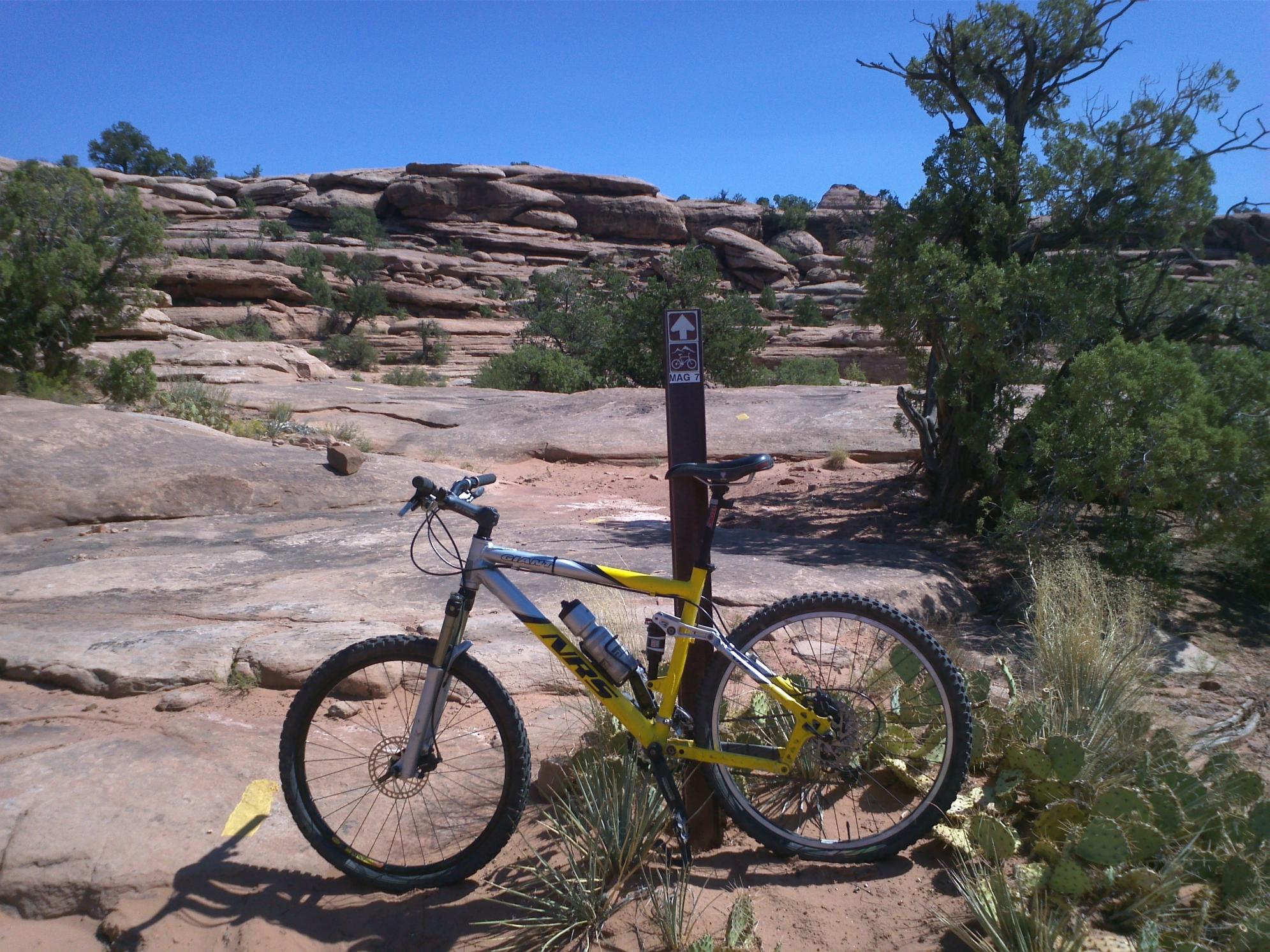 2001 Giant NRS Yellow or Gold and Black