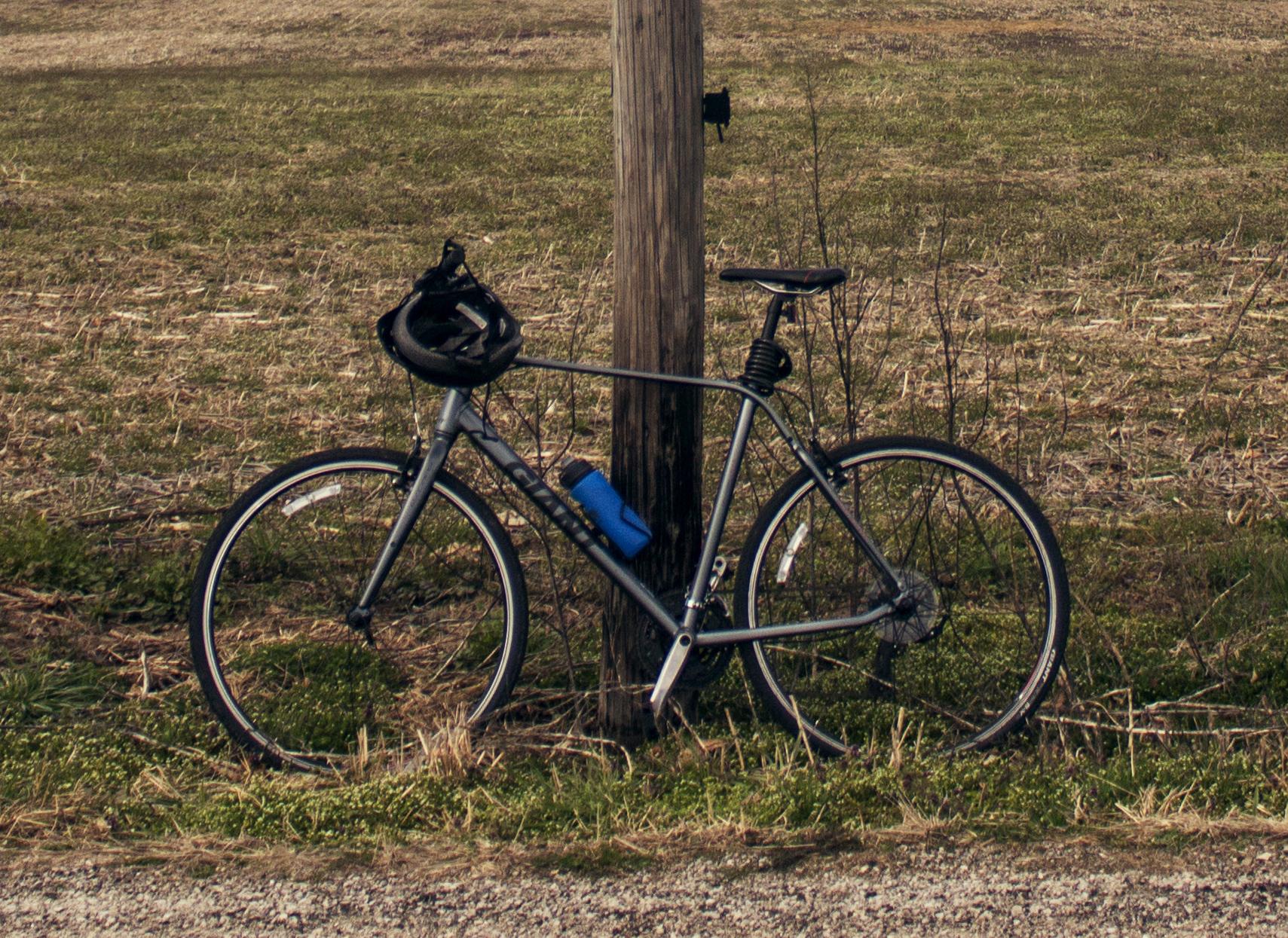 2016 Giant Escape 3 Silver or Gray