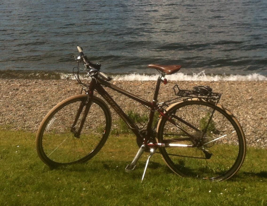 2012 Trek 7.3 FX  Brown and Red