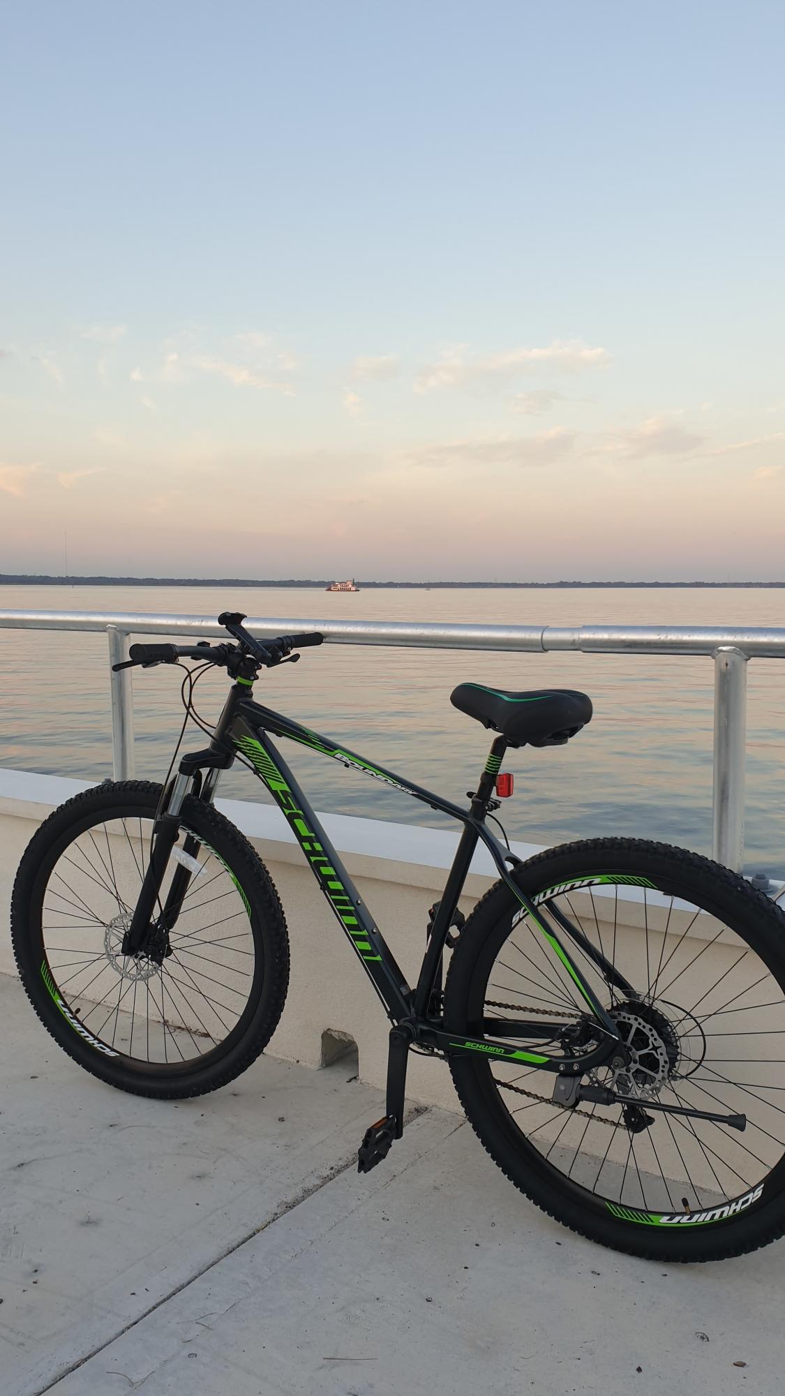 Schwinn Black and Green