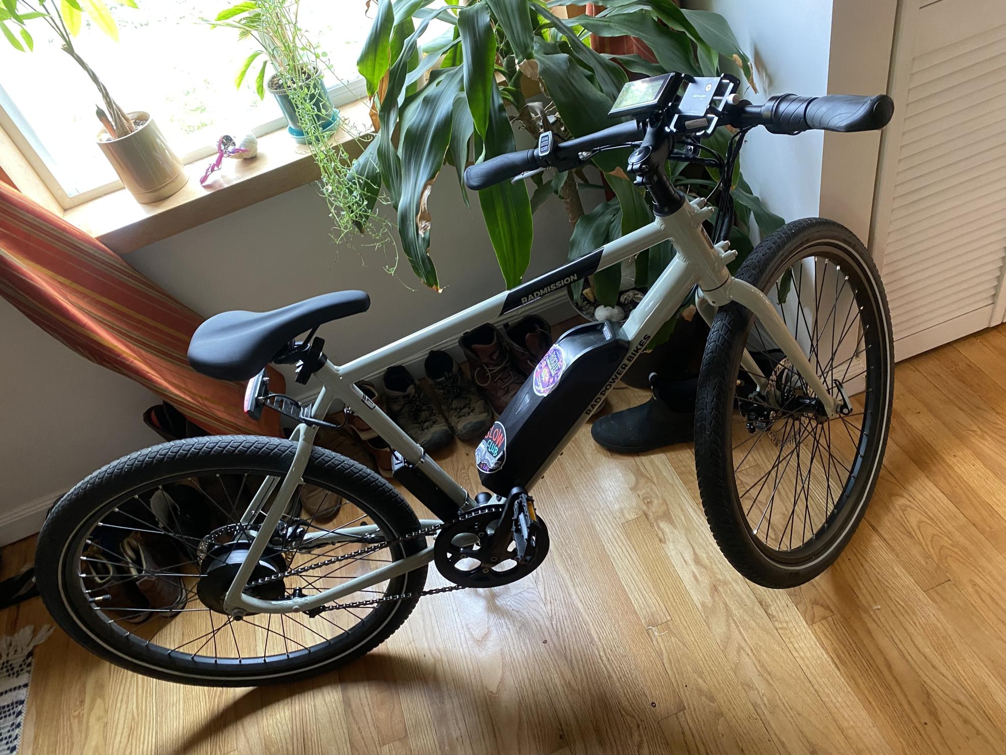 2022 Rad Power Bikes Radmission Silver, gray or bare metal