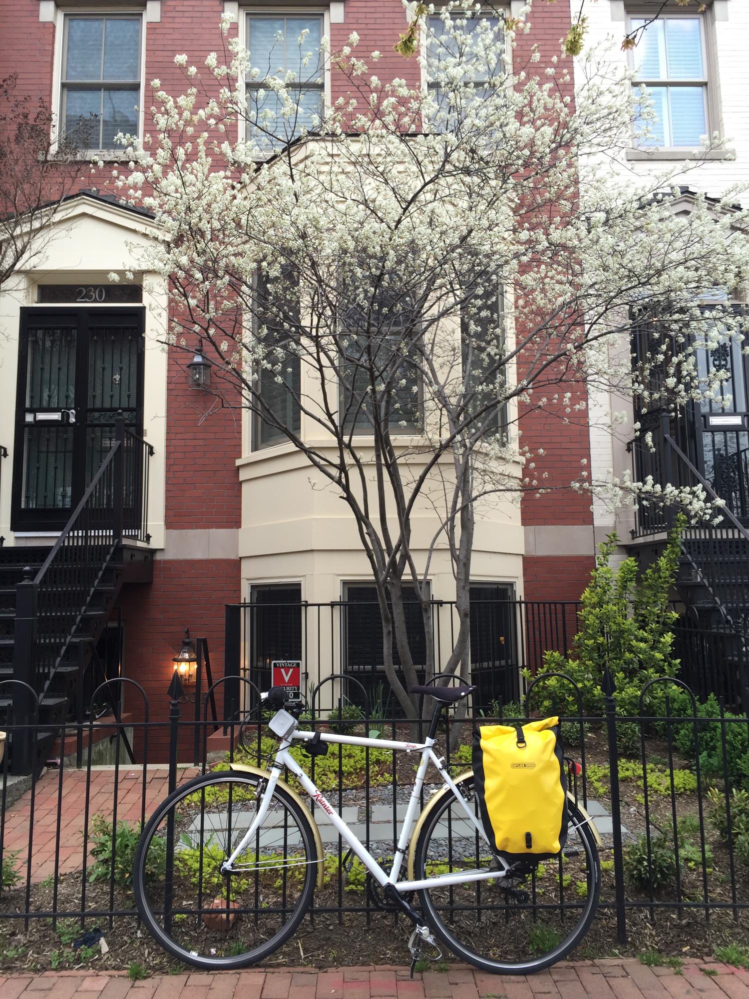 2015 Raleigh Port Townsend White and Yellow or Gold