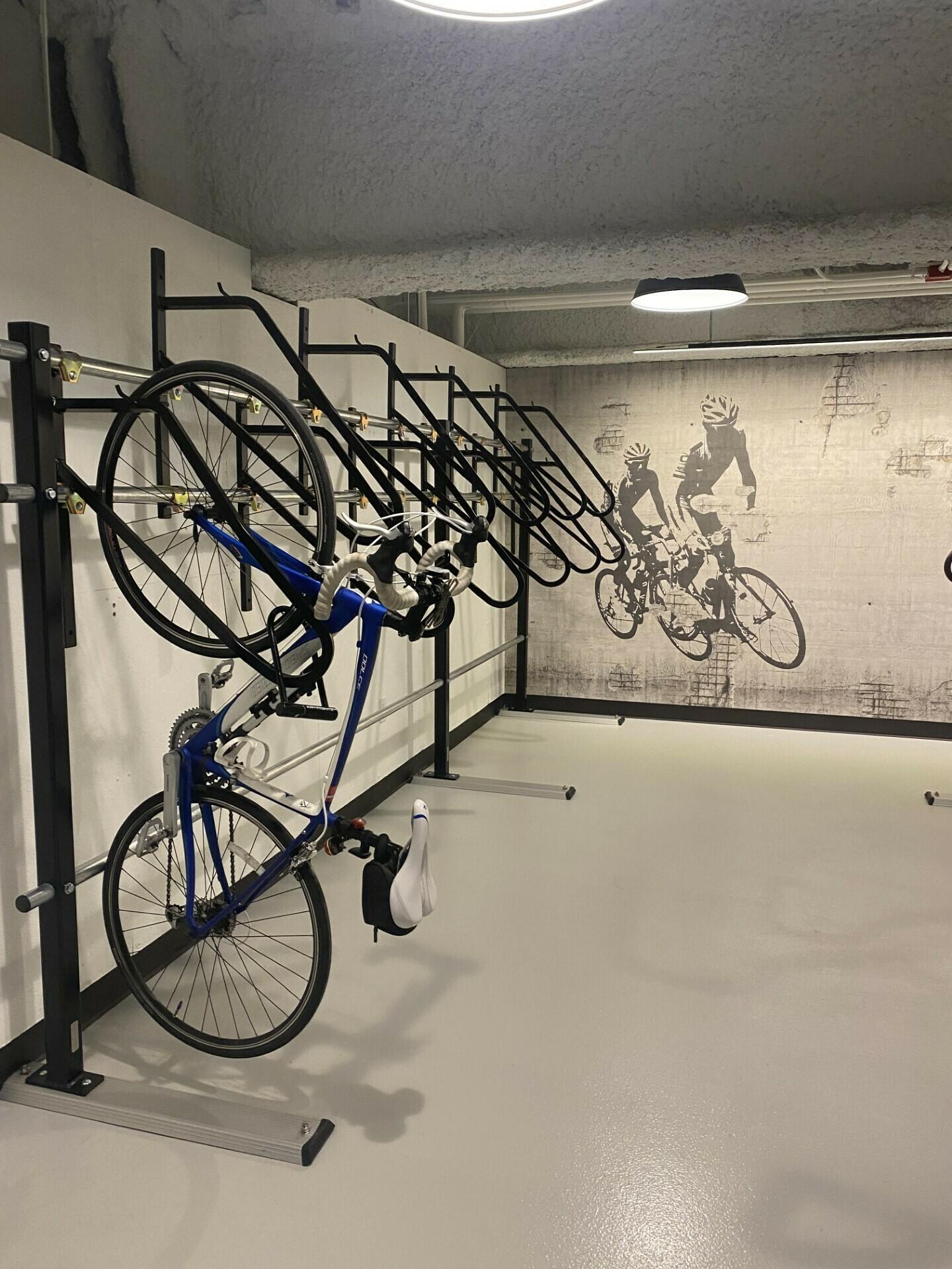 2012 Specialized Dolce Sport Compact Blue and White