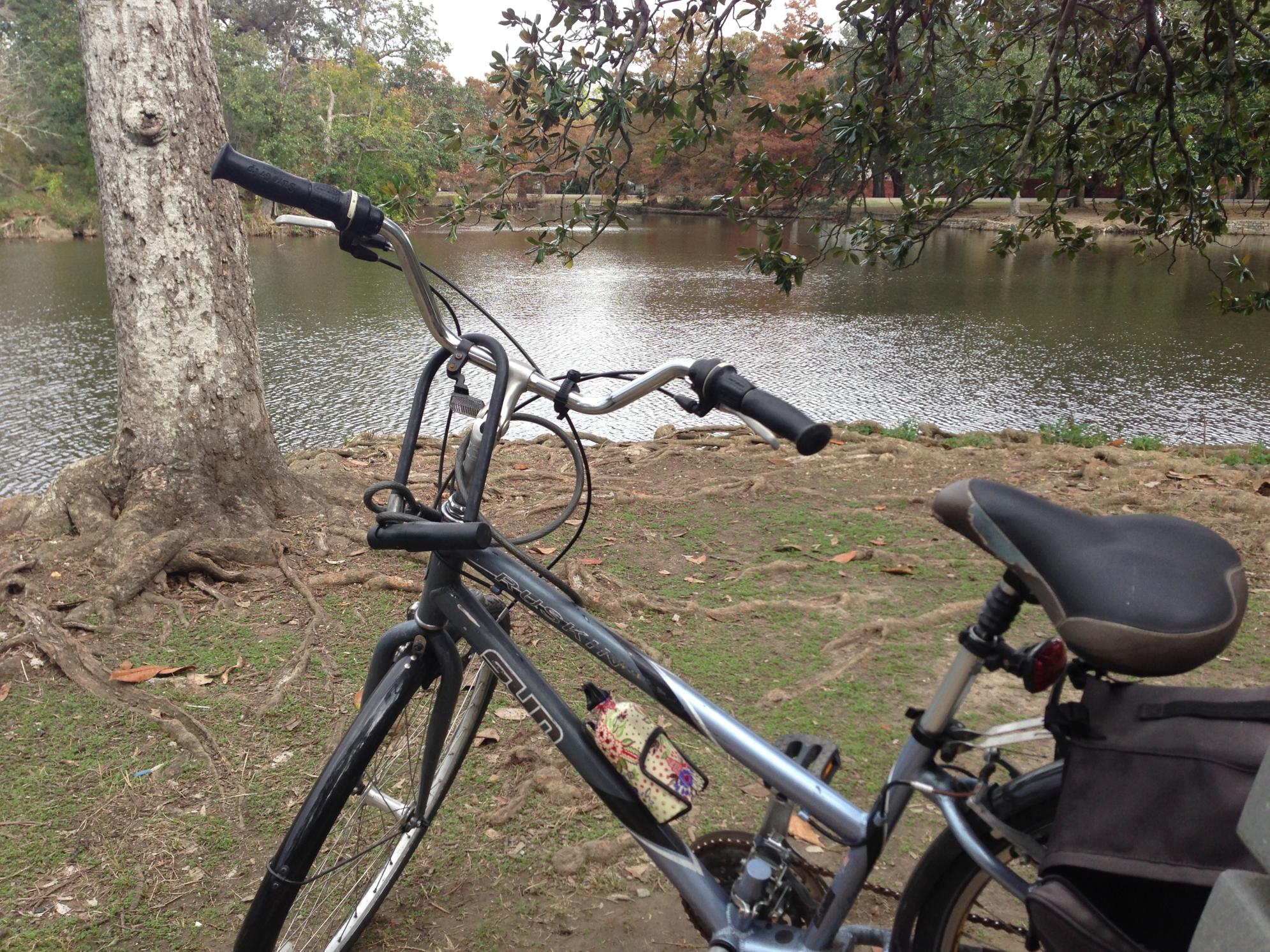 2017 Sun Ruskin Blue and Silver or Gray