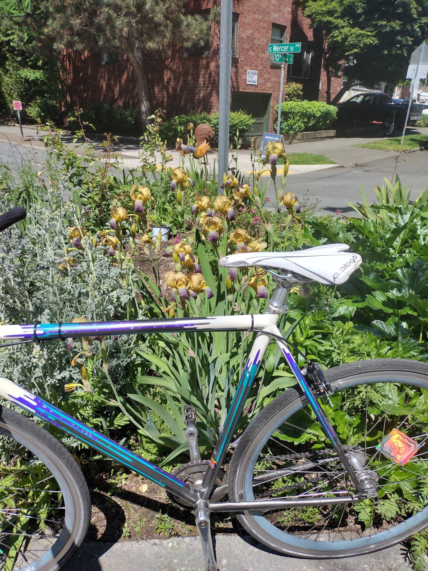 2020 Specialized Globe Blue