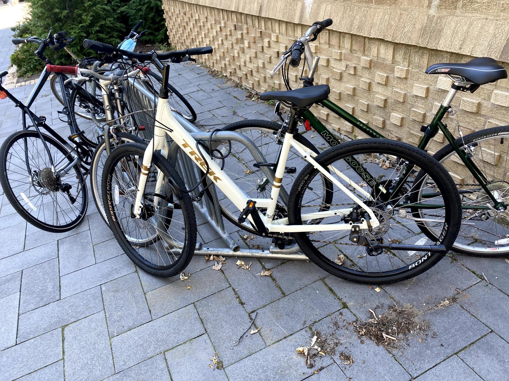 2021 Trek Verve 1 Lowstep White