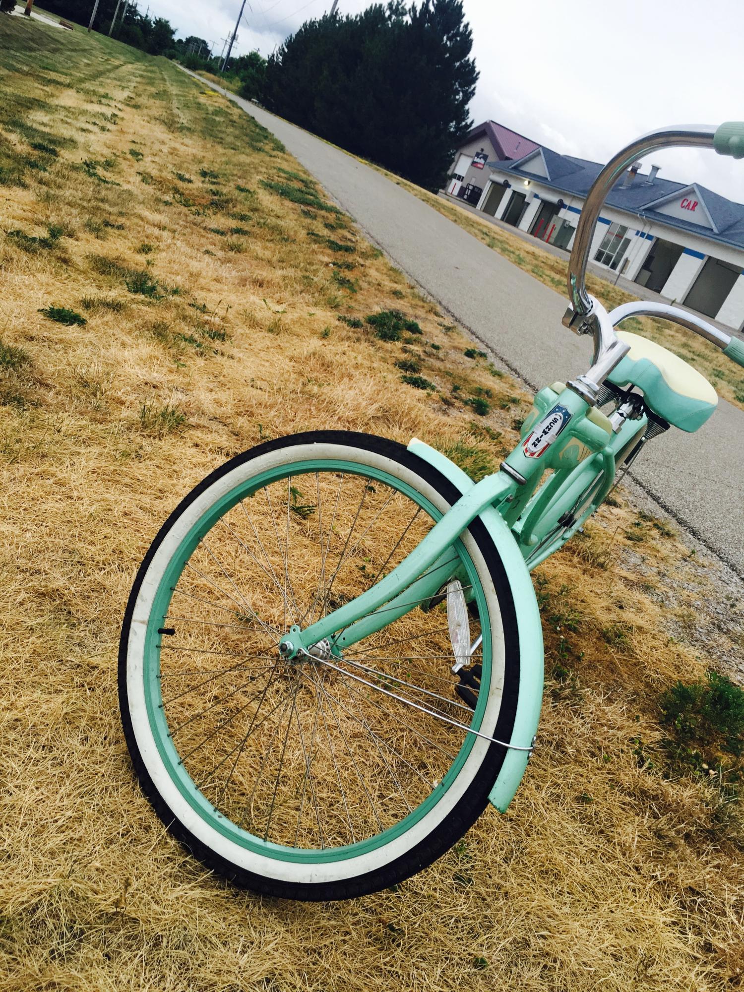 2013 Schwinn Starlet Green and White