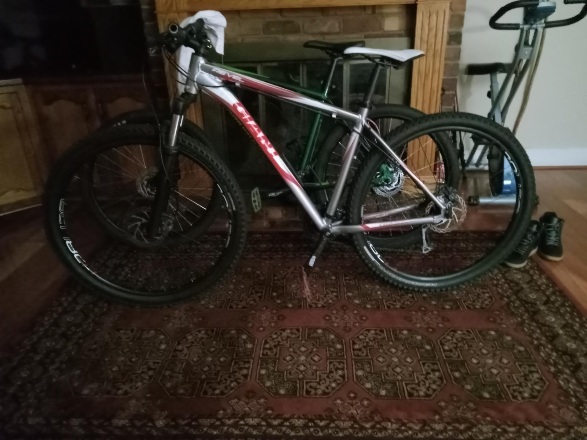 2022 Giant Reveal Silver, gray or bare metal