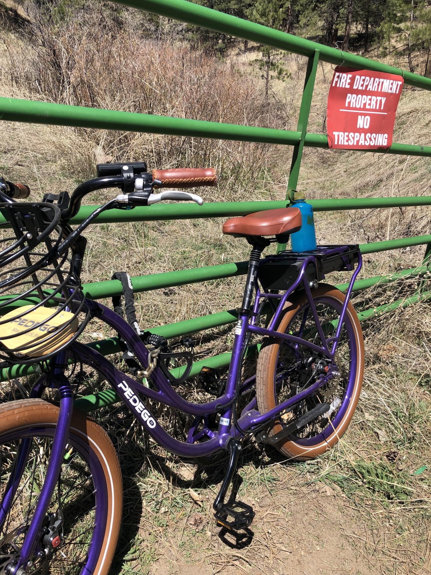 2018 Pedego Interceptor step thru Purple