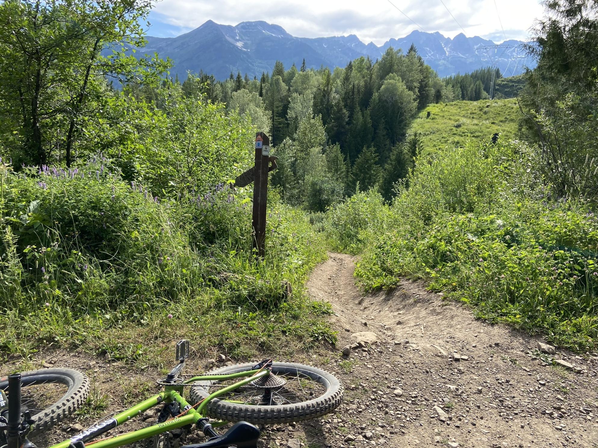 2020 Soma Valhallen Green