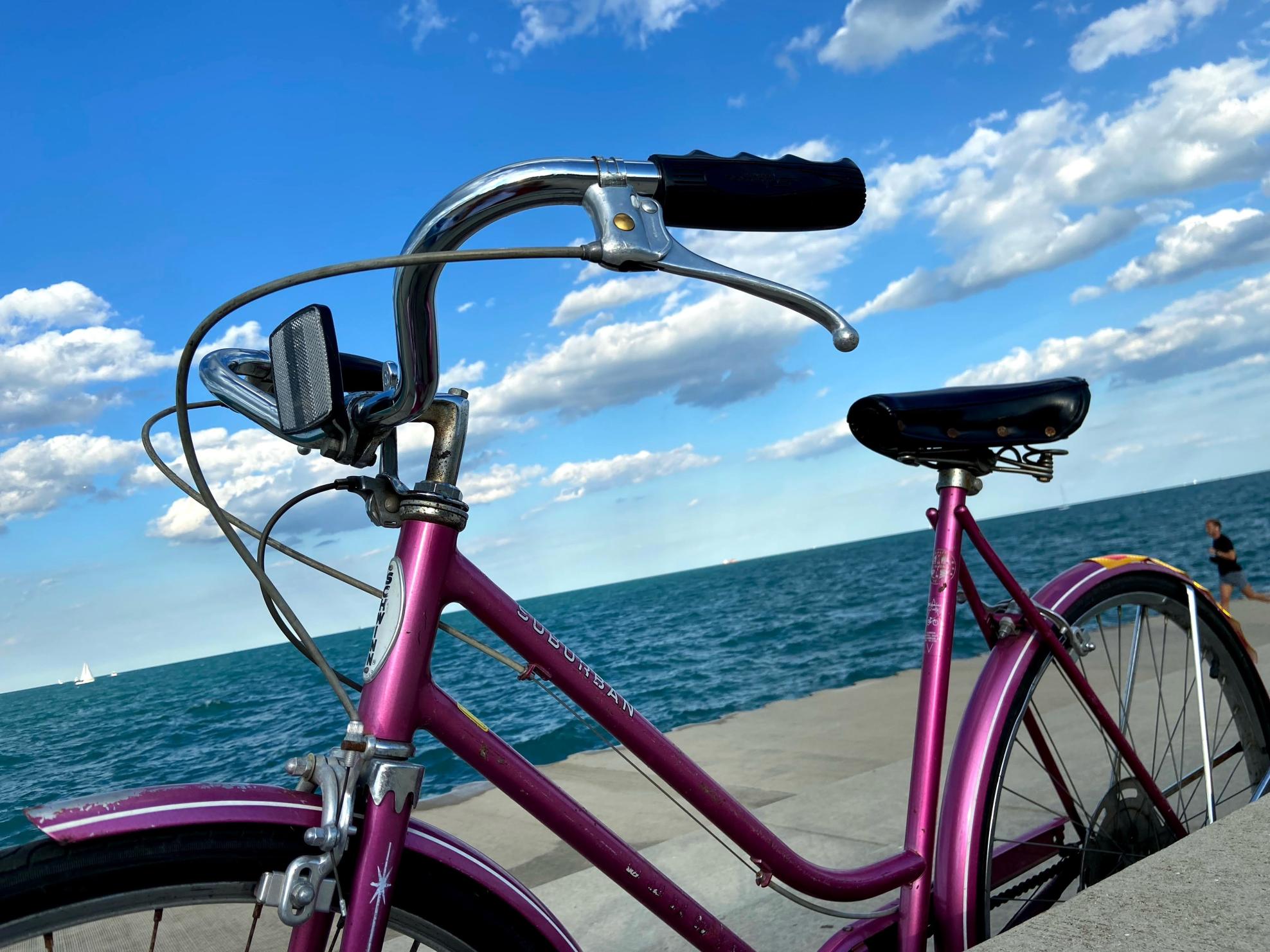 1984 Schwinn Suburban Pink