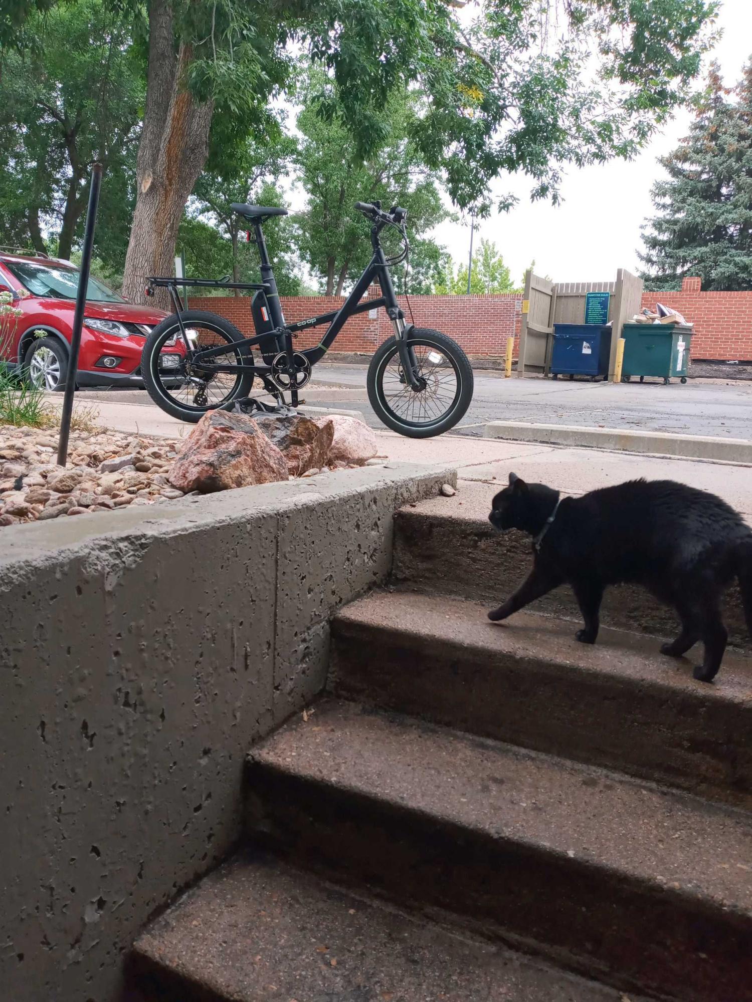 2022 REI Co-Op Generation e1.1 Ebike. Black