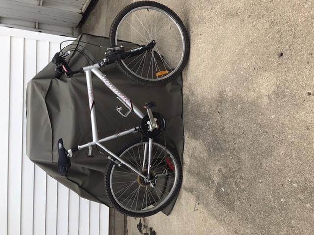 Raleigh Summit Silver, gray or bare metal