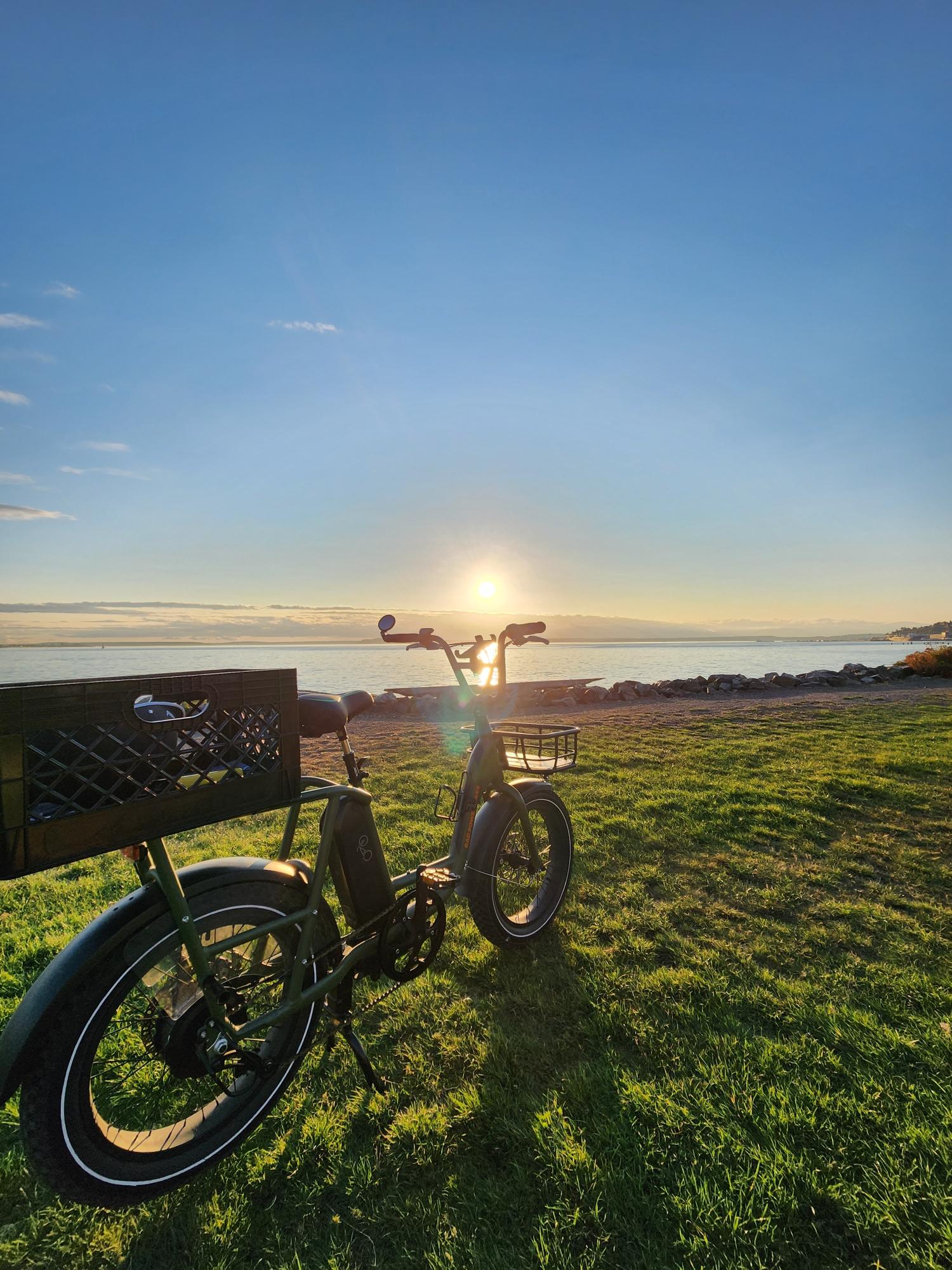 2021 Rad Power Bikes Rad Runner 1 Green