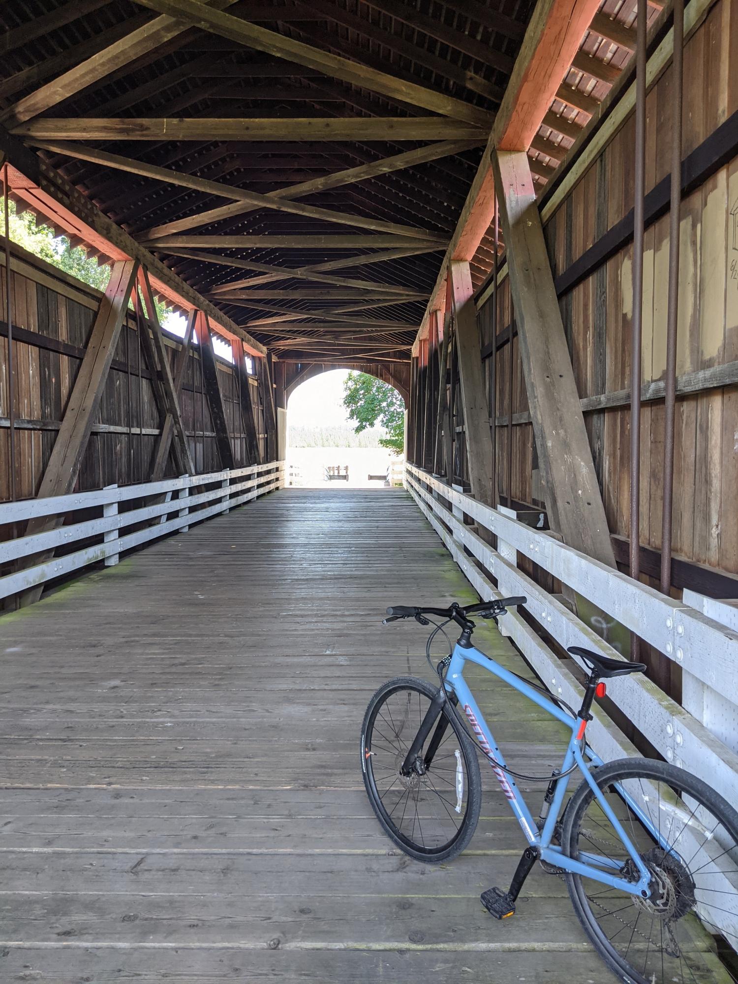 2020 Specialized Cirrus 4.0 Teal
