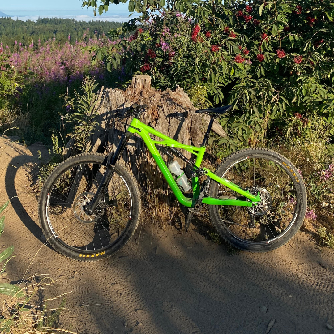 2019 Specialized Green
