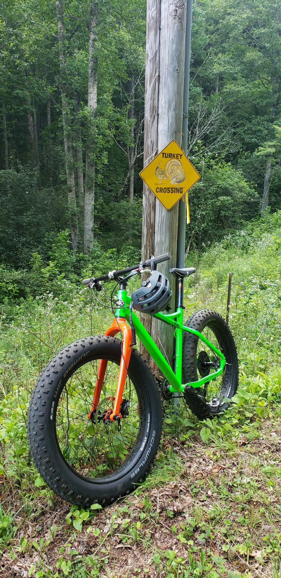 2015 RSD Mayor Green