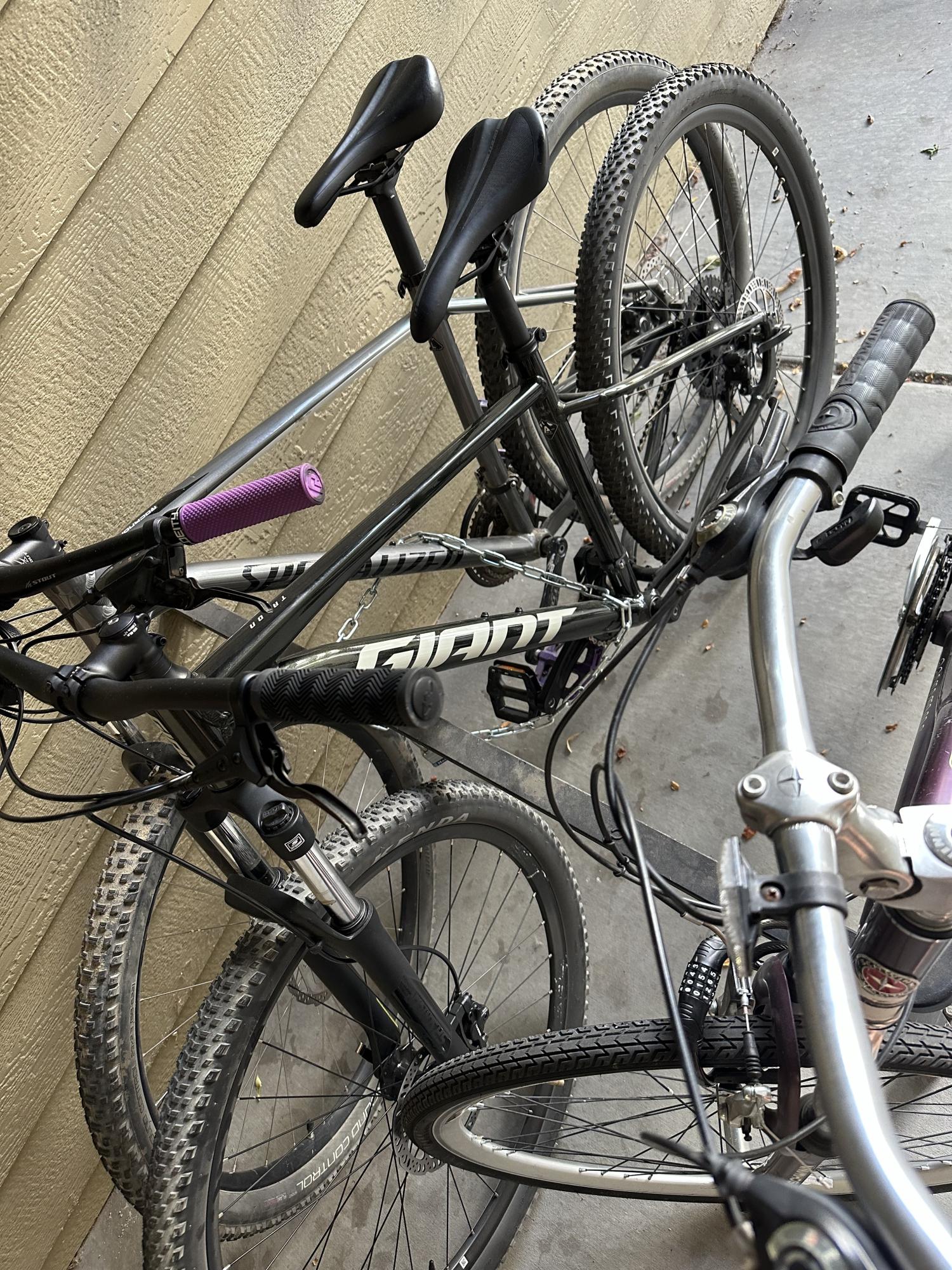 2024 Giant Hardtail Green