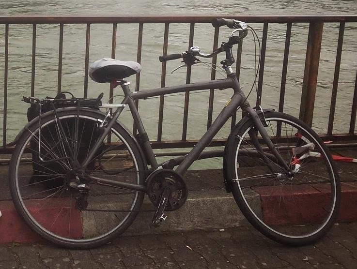 2008 Giant Silver or Gray