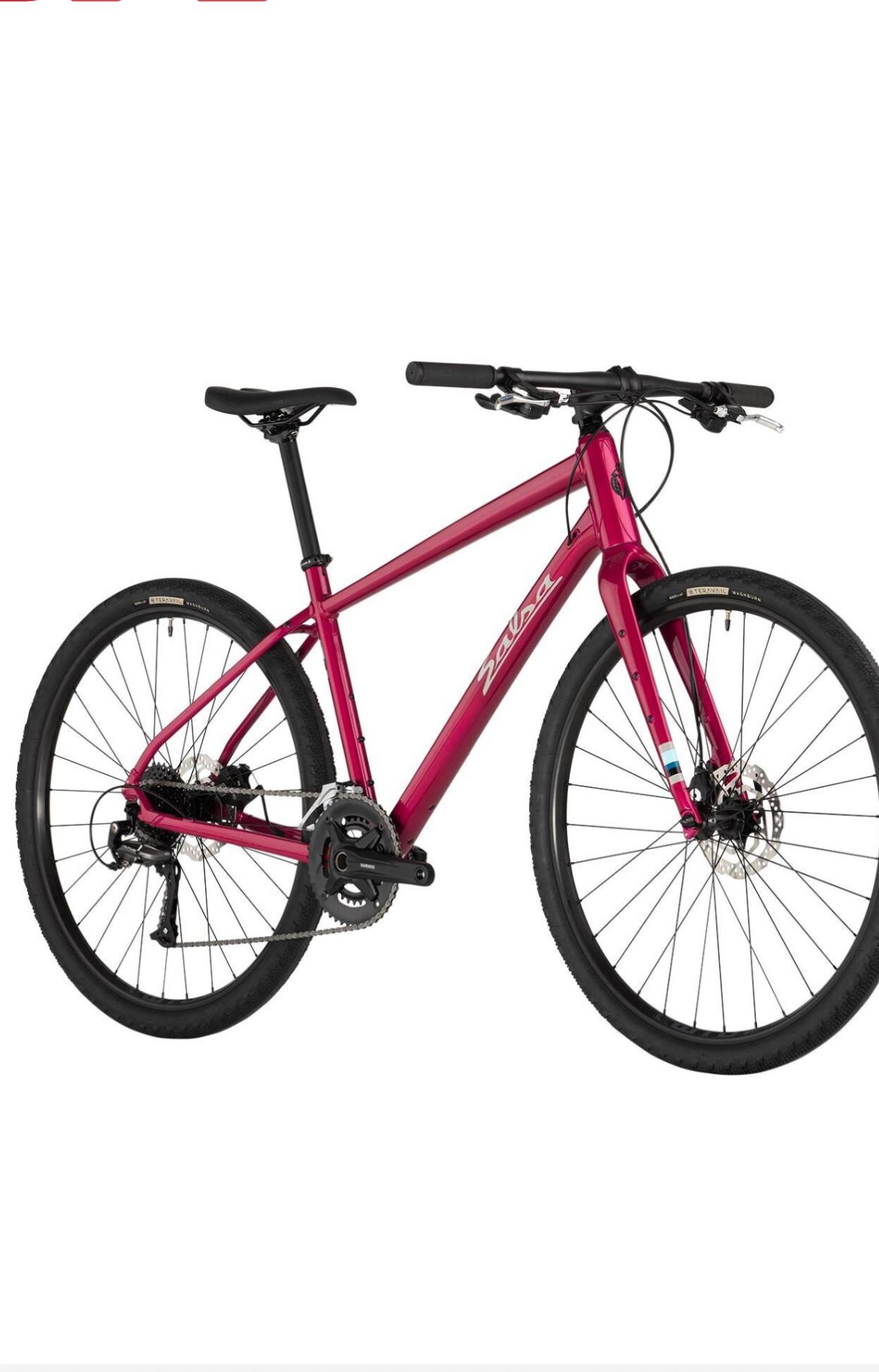 2024 Salsa Journeyer Pink