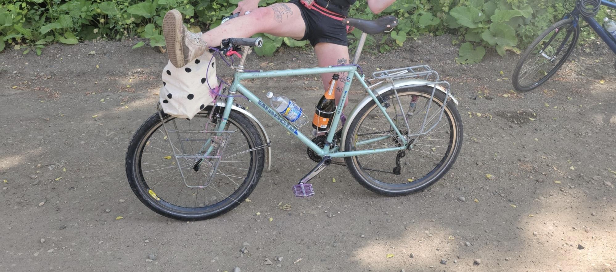 Bianchi incline Teal and Purple