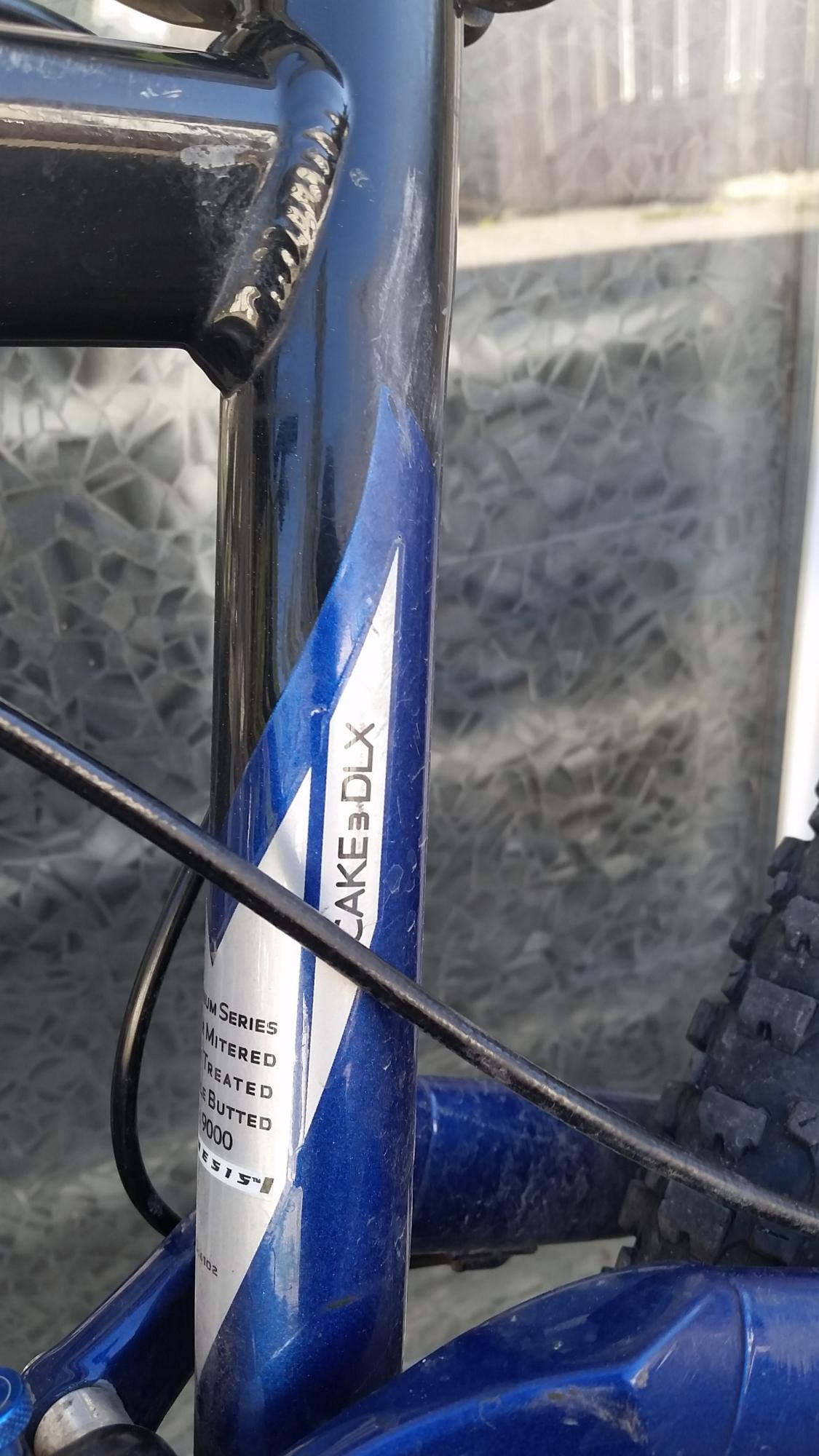 2004 Gary Fisher Cake 3_DLX Blue and Black