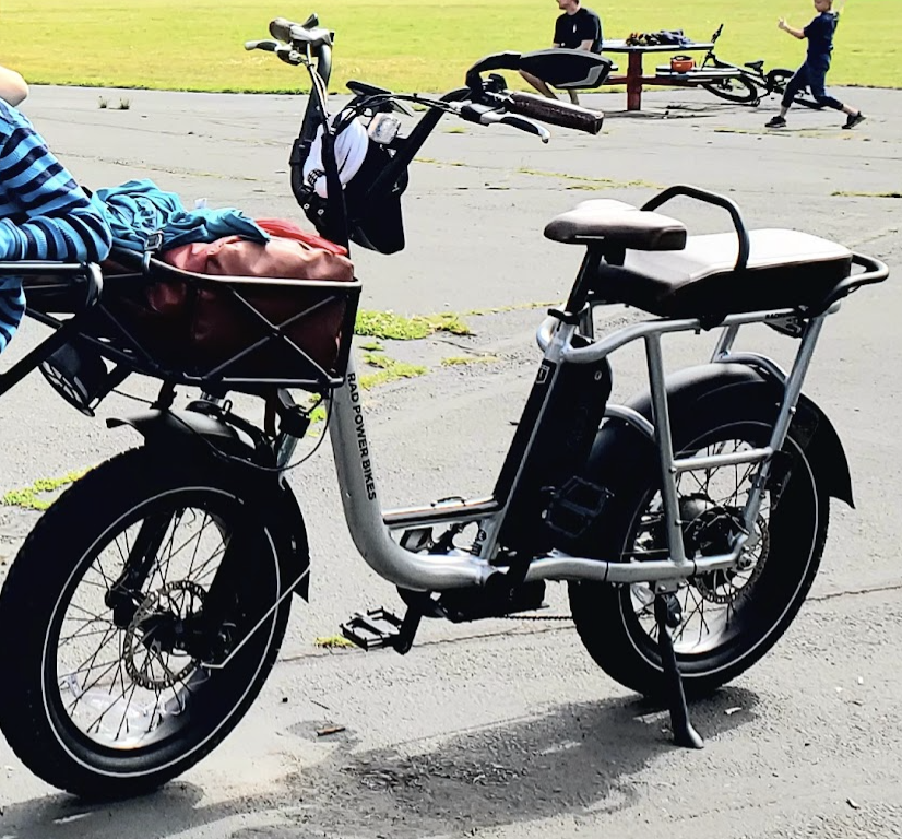 2021 Rad Power Bikes RadRunner Plus Silver, gray or bare metal