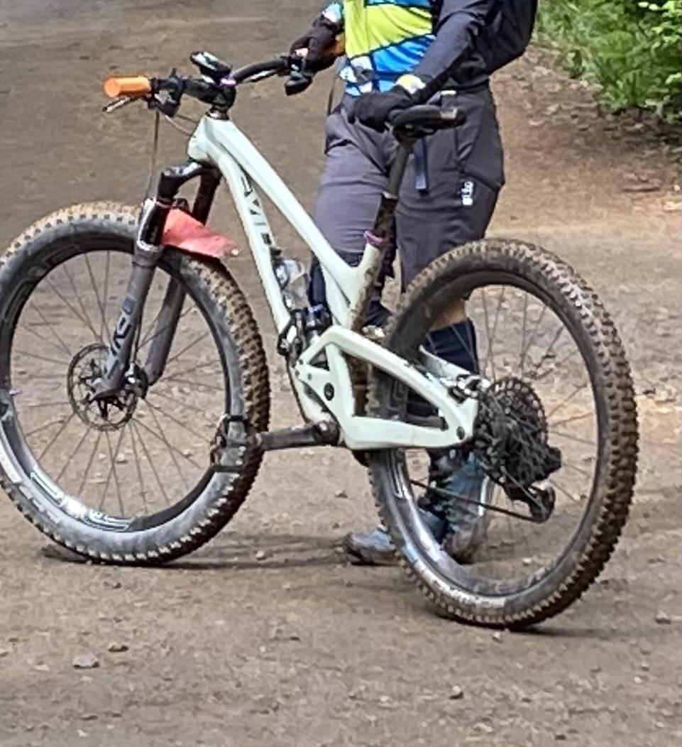 2020 Evil Following Teal