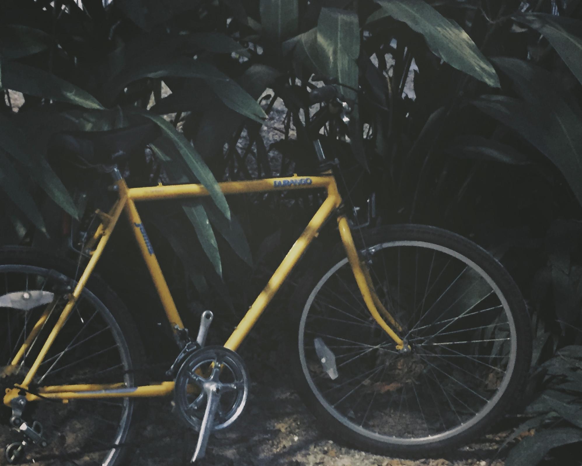 Jamis Yellow or Gold