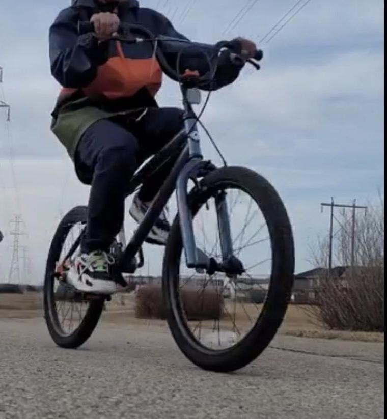 Other Silver, gray or bare metal