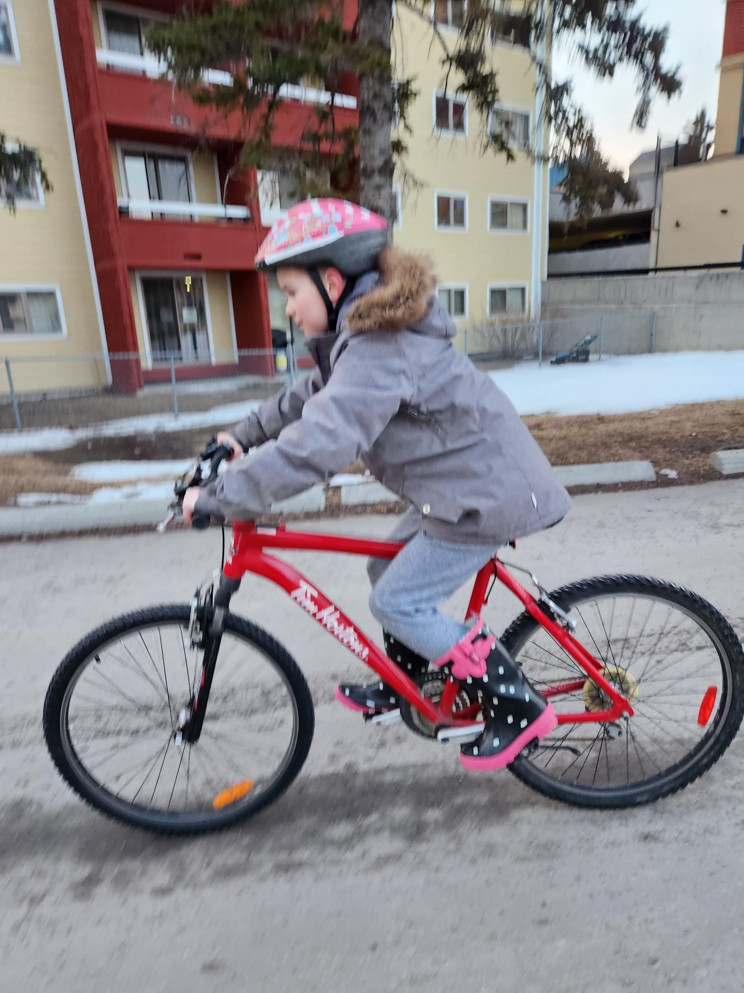 2011 Raleigh 2011 Raleigh Tim Hortons 25TH Anniver... Red