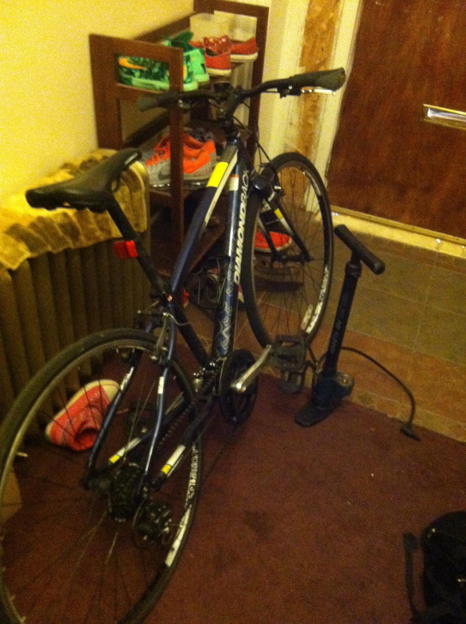 Diamondback insight Blue