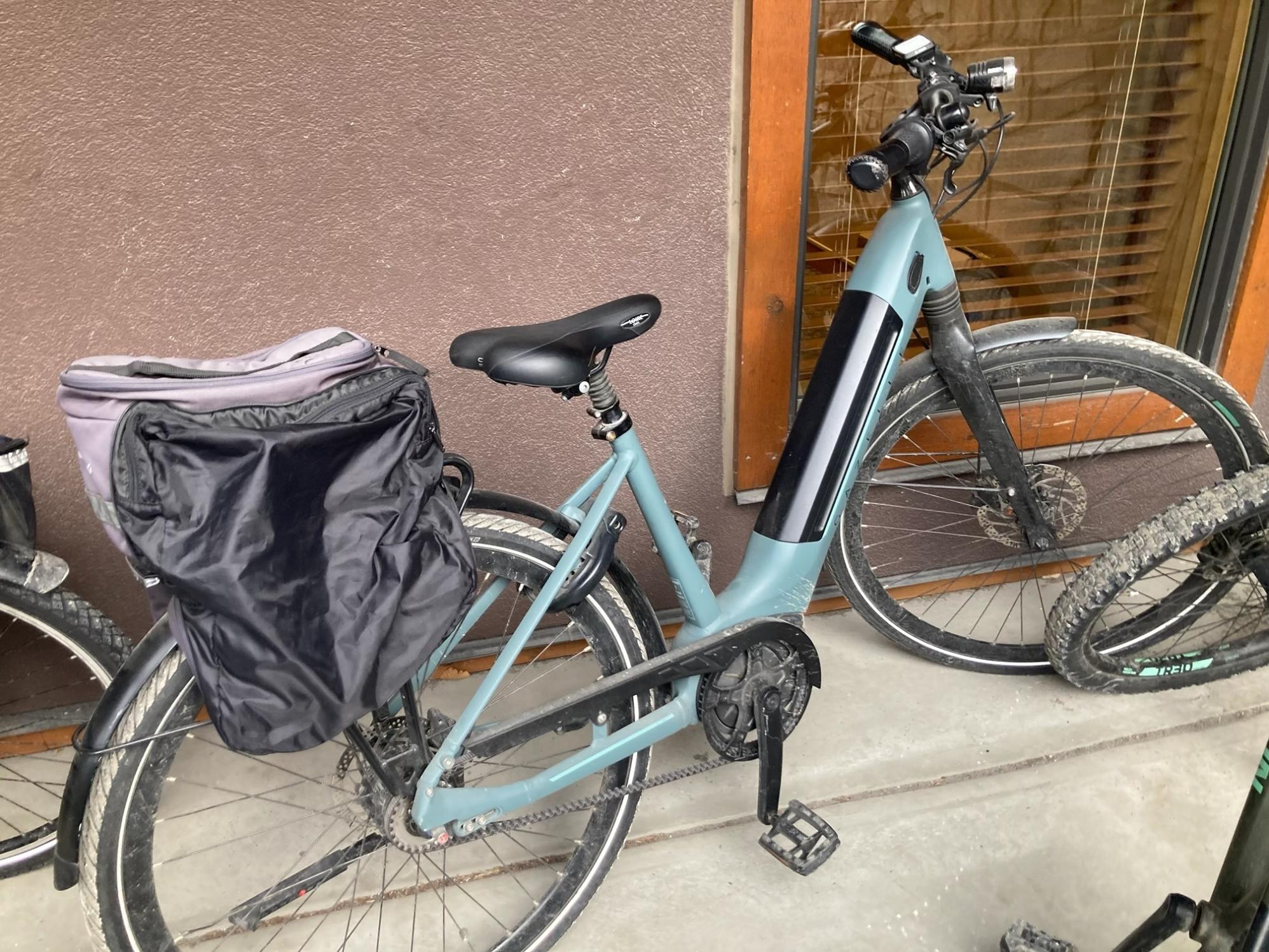 2021 Gazelle C8 low Ultimate Green