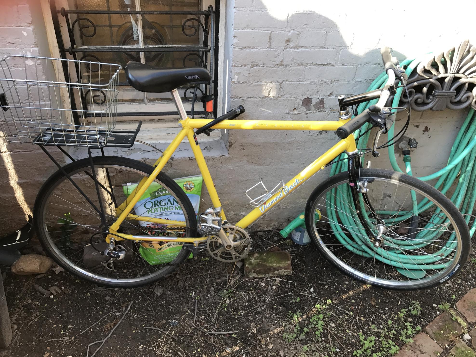 1991 Diamondback Yellow or Gold