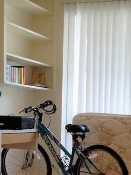 Schwinn Teal and Purple