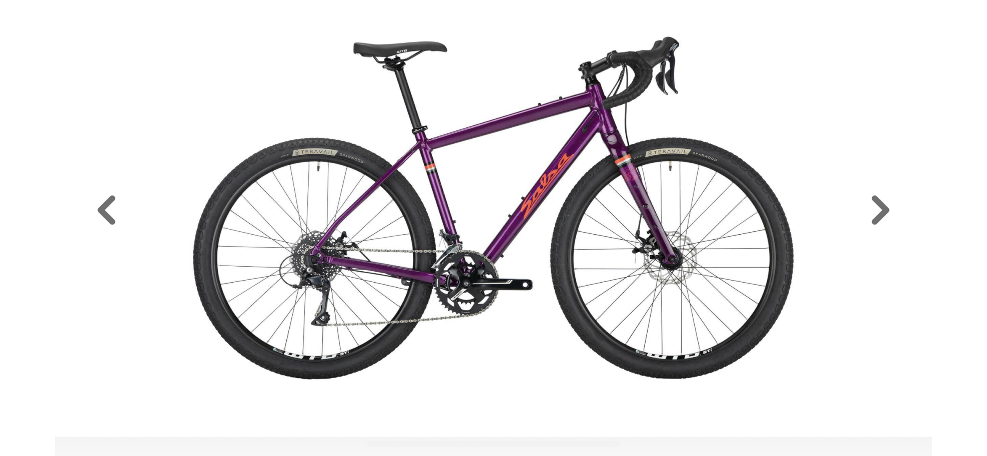 2021 Salsa Journeyman Purple