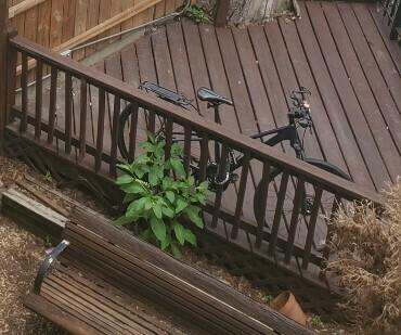 2019 Trek Dual Sport 3 Purple