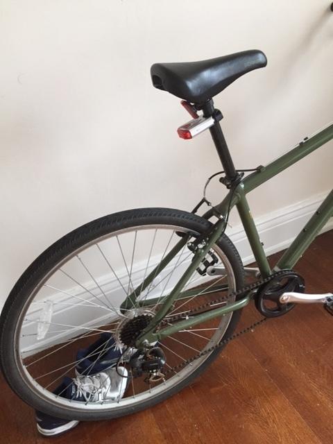 2015 Schwinn Green