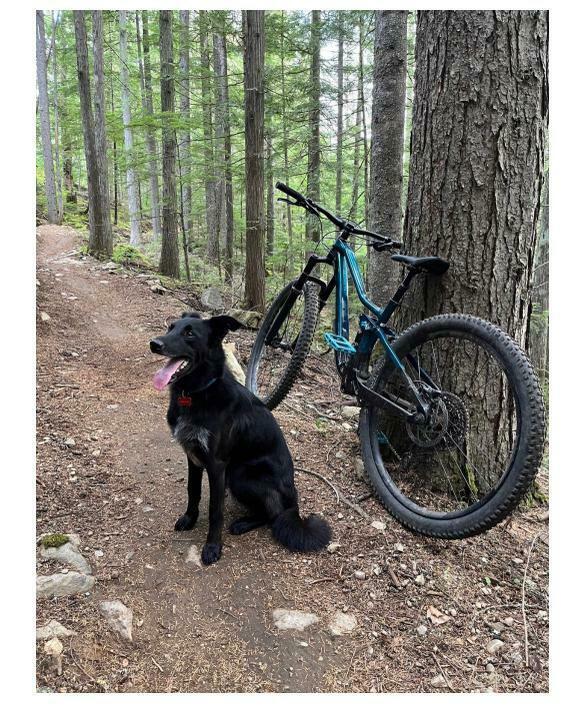 2021 Trek Fuel EX Green